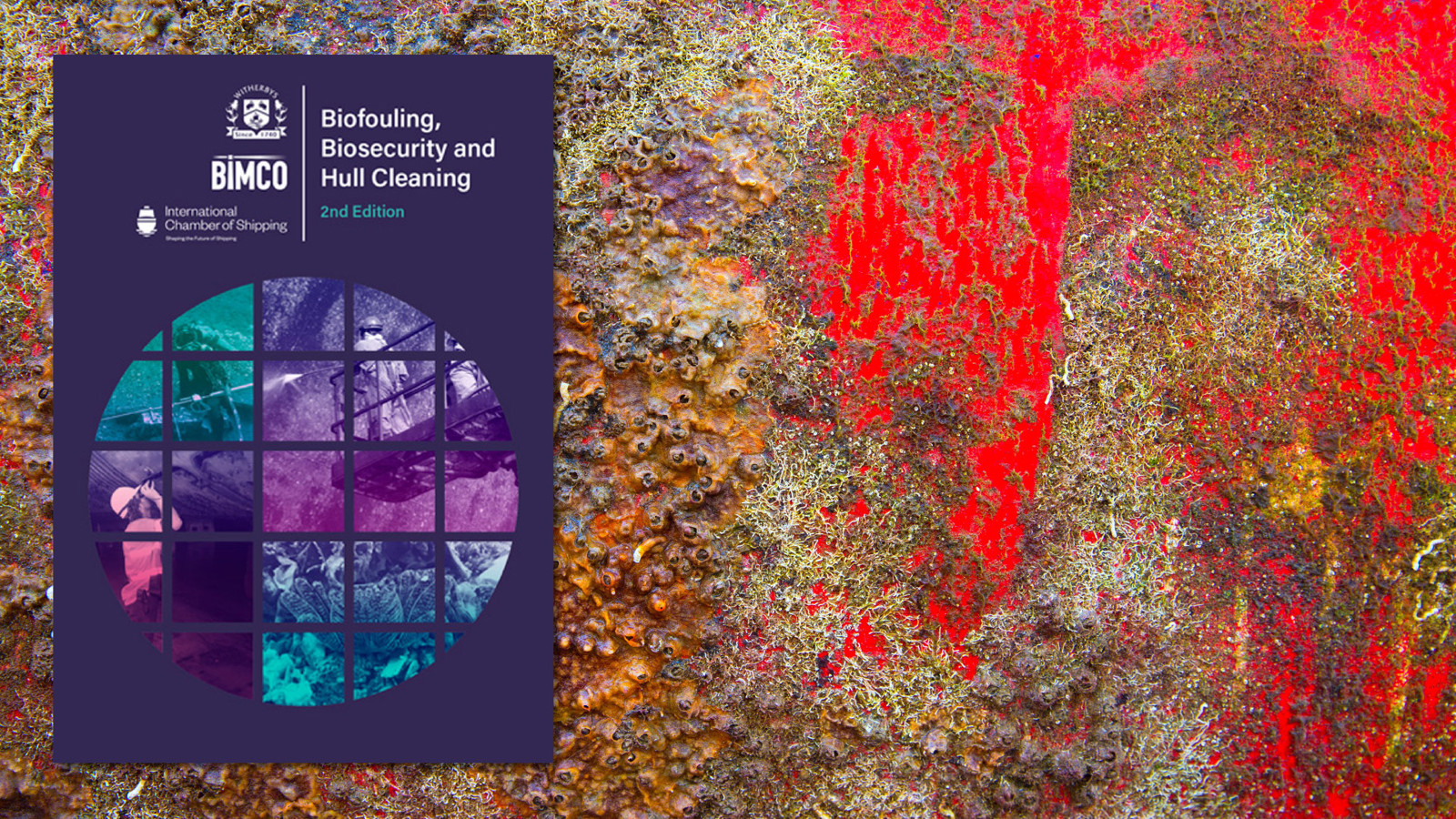 Biofouling Biosecurity Hull Cleaning 2Nd Ed