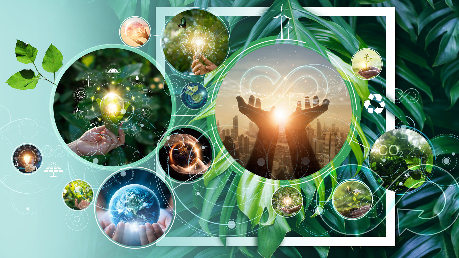Collage of images representing caring for the environment