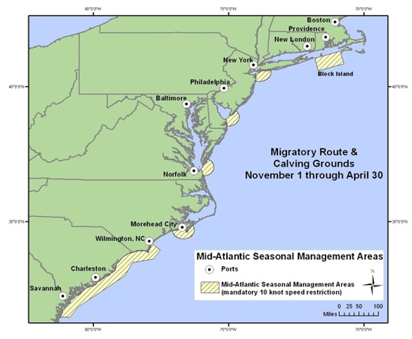 Map of north eastern US coast showing whale migratory routes
