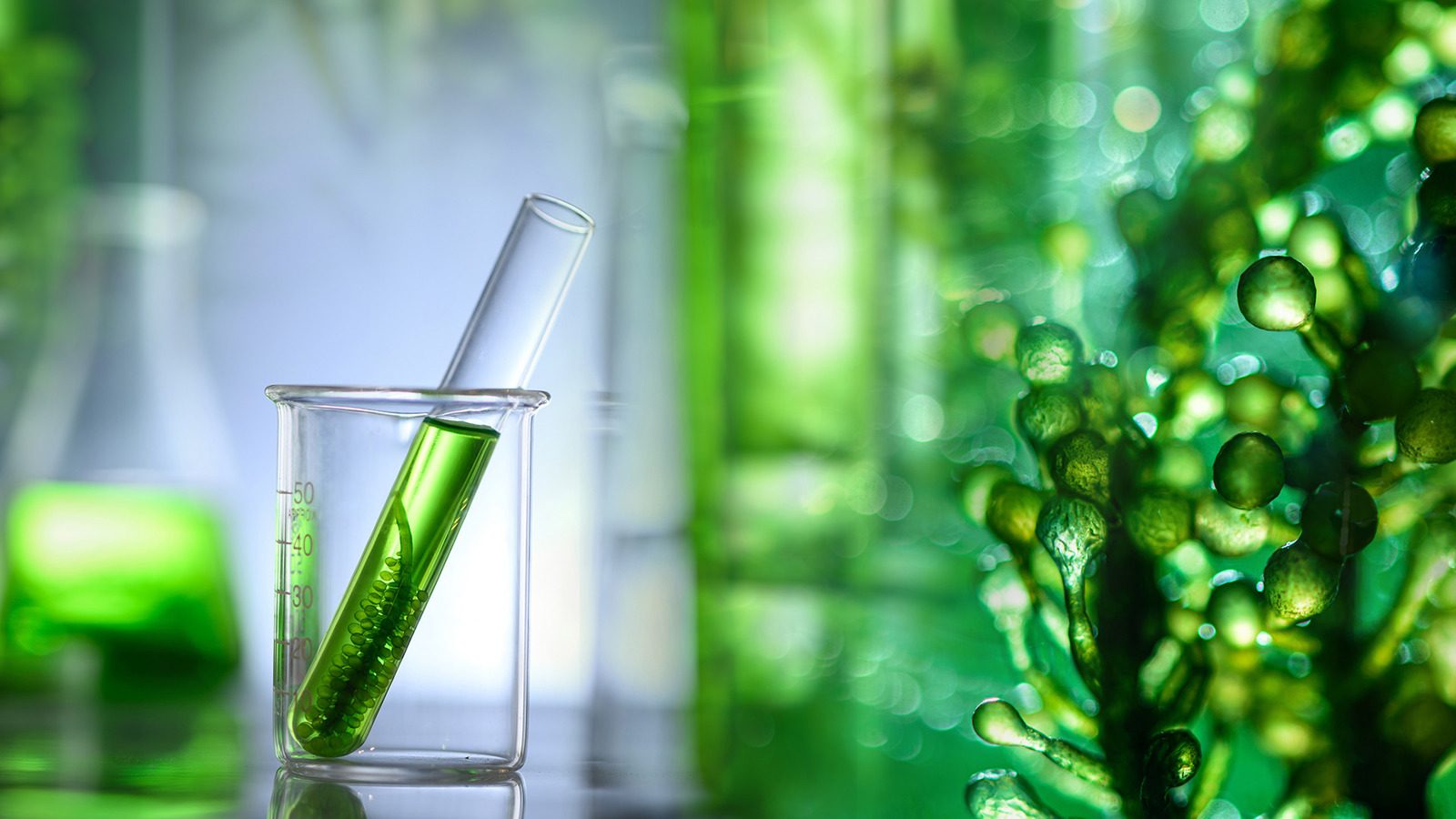 Biofuel 005