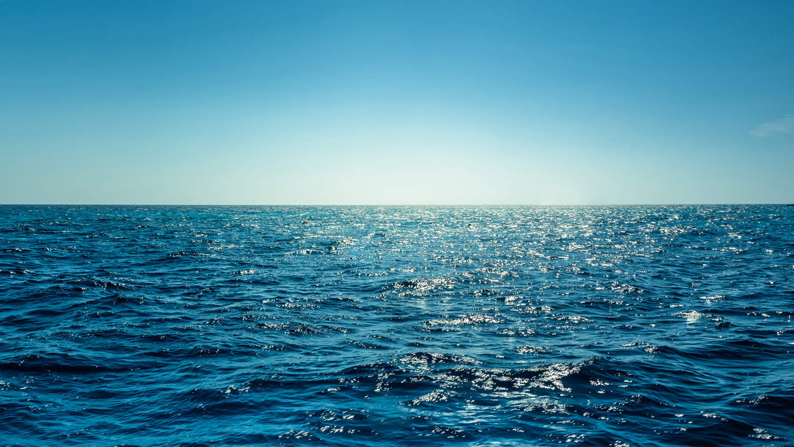 Ocean AS 236122432 Web Hero