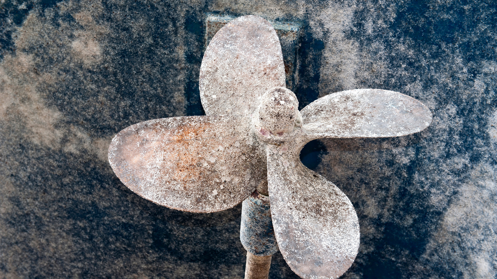 A ship's propellor