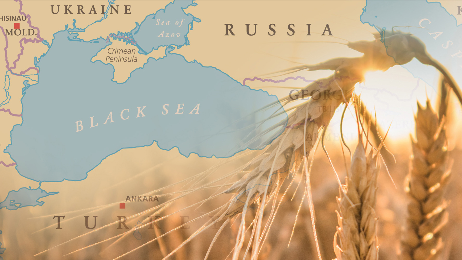 Map of Black Sea with image of wheatgrain superimposed