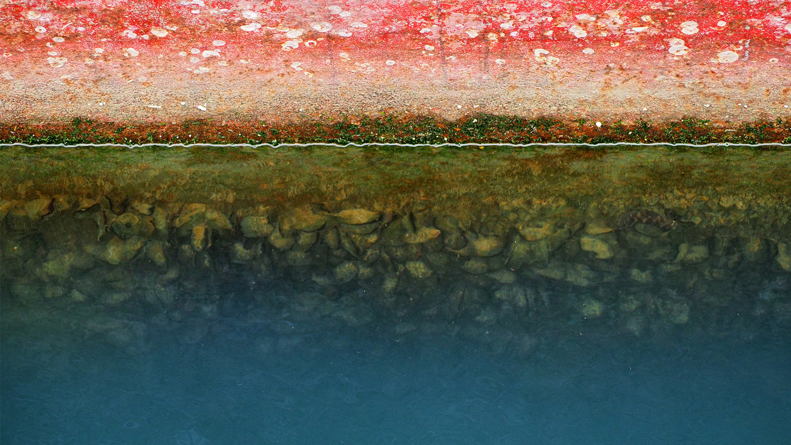 Biofouling Is 1136144113