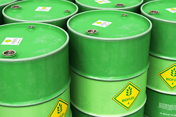 close-up of bright green barrels filled with bio-fuel