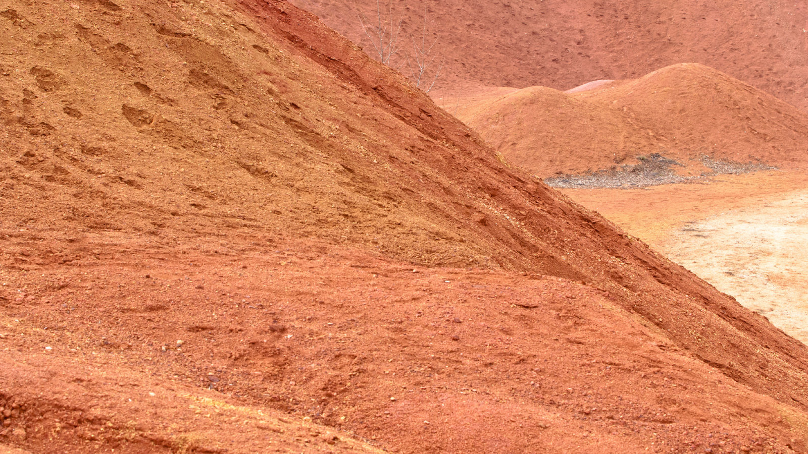 SNOW 2026 Wk12 Plain